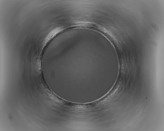 X0000112471362200908311341