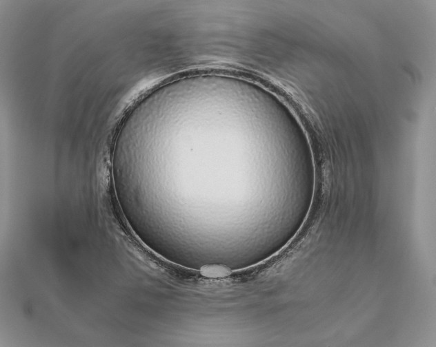 X0000112471363200908311341