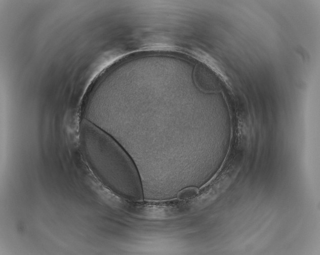 X0000112471364200908311341