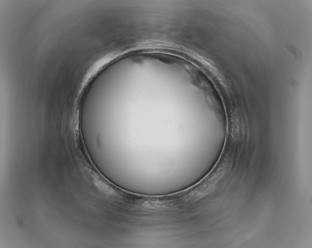 X0000112471366200908311341