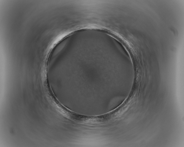 X0000112471367200908311341