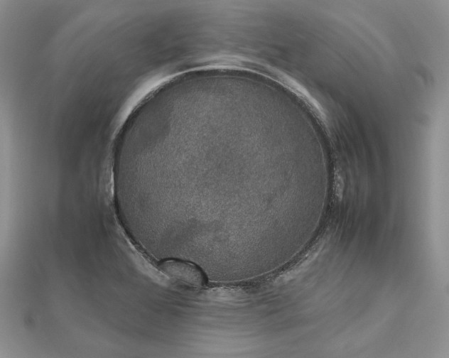 X0000112471368200908311341