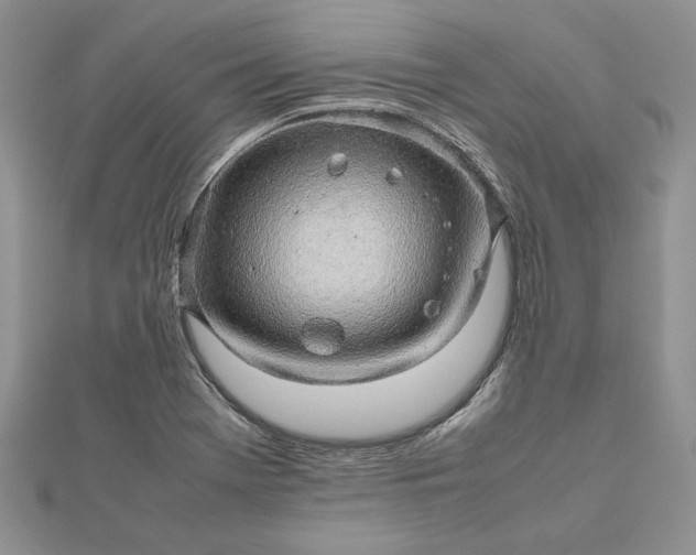 X0000112471369200908311341