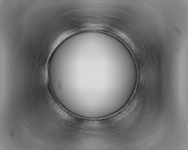 X0000112471370200908311341