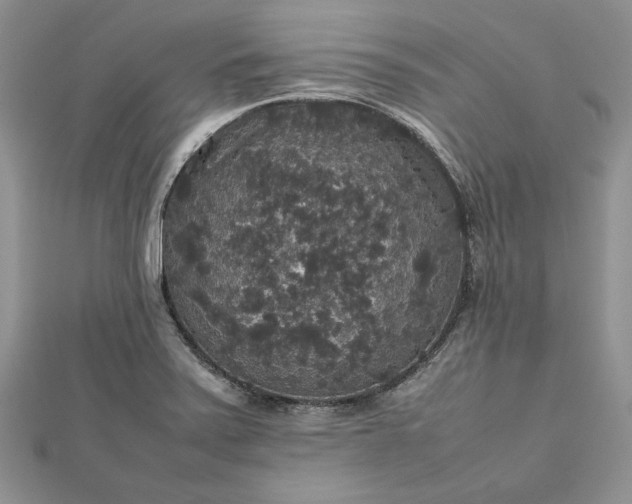 X0000112471371200908311341