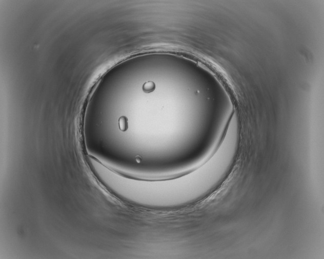 X0000112471373200908311341