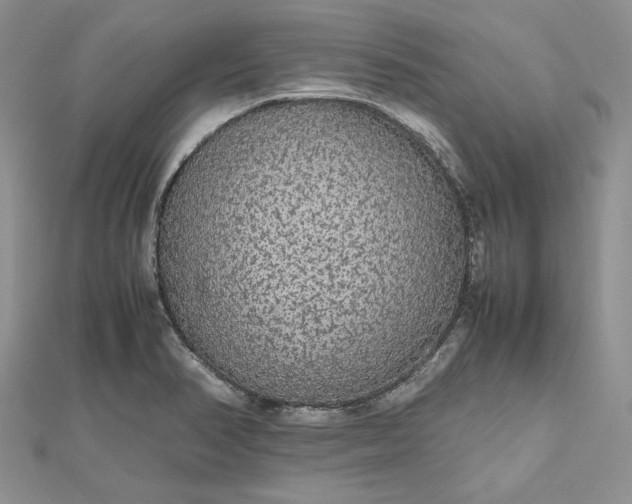 X0000112471374200908311341