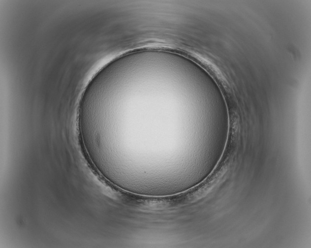 X0000112471375200908311341