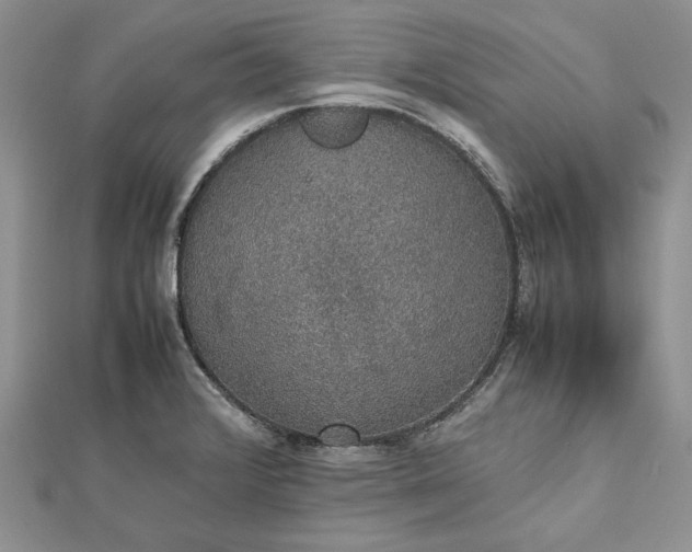 X0000112471376200908311341