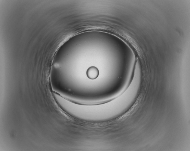 X0000112471377200908311341