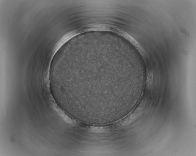 X0000112471378200908311341