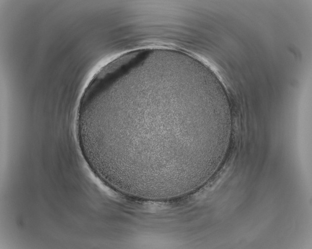 X0000112471379200908311341