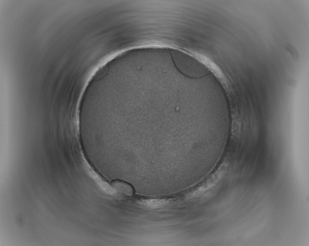 X0000112471380200908311341