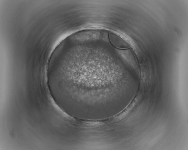 X0000112471382200908311341