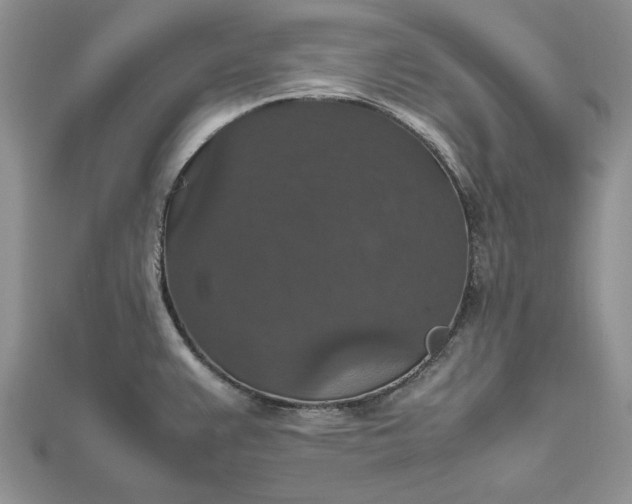 X0000112471383200908311341