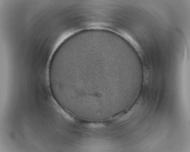 X0000112471384200908311341