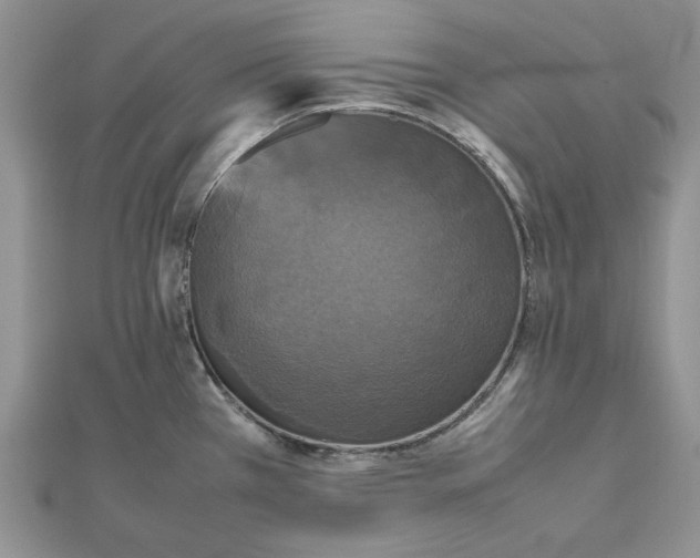 X0000112471385200908311340