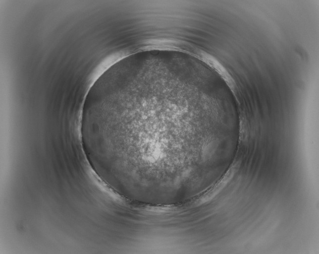 X0000112471386200908311340