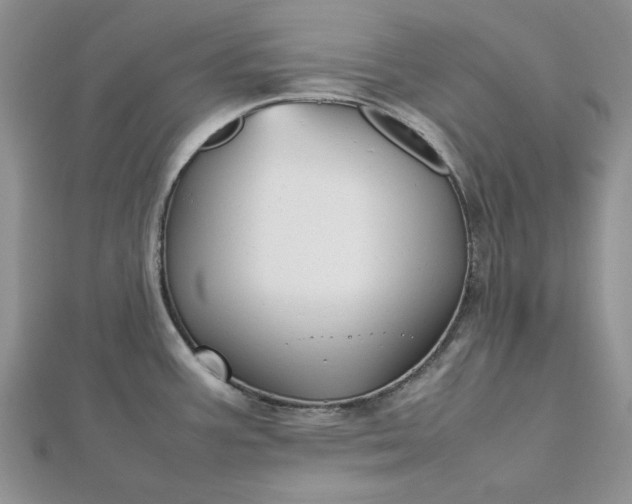 X0000112471387200908311340