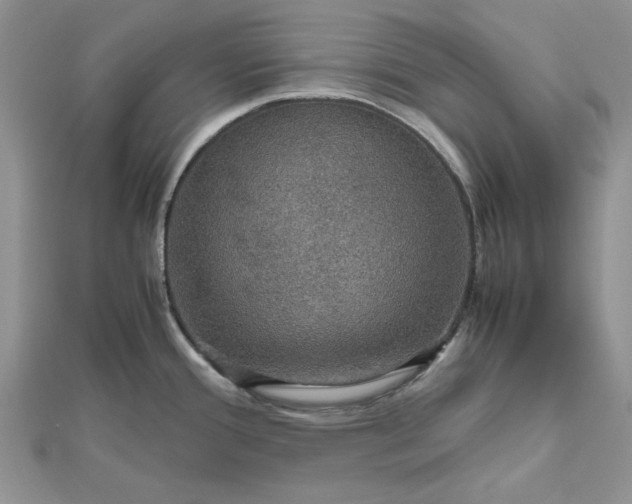 X0000112471388200908311340