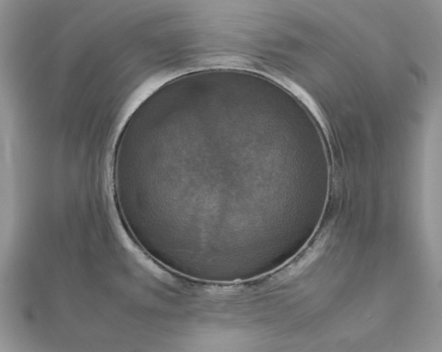 X0000112471389200908311340