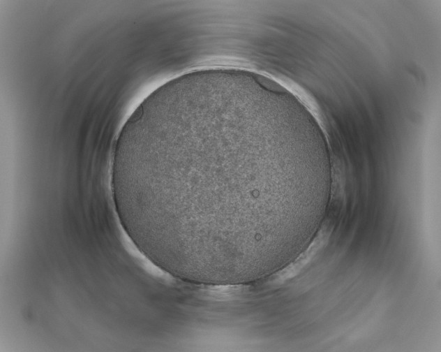 X0000112471390200908311340