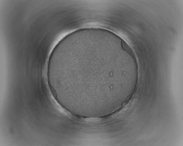 X0000112471392200908311340