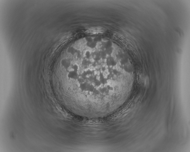 X0000112471393200908311340