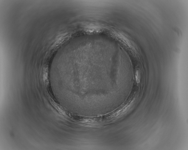 X0000112471396200908311340