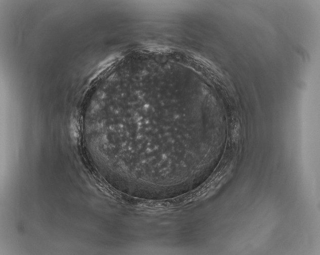 X0000112471397200908311340