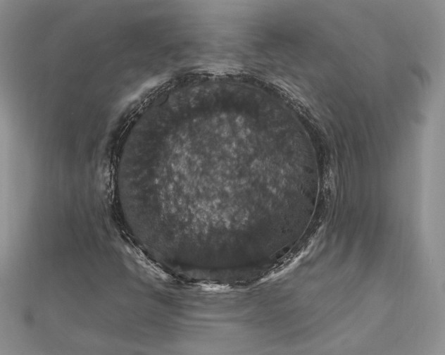 X0000112471398200908311340