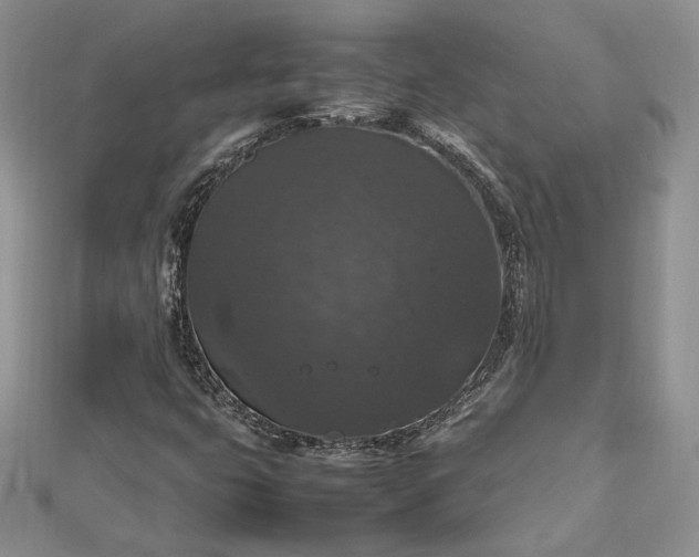 X0000112471399200908311340