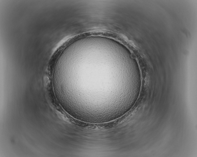 X0000112471400200908311340