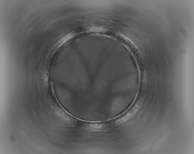 X0000112471401200908311340