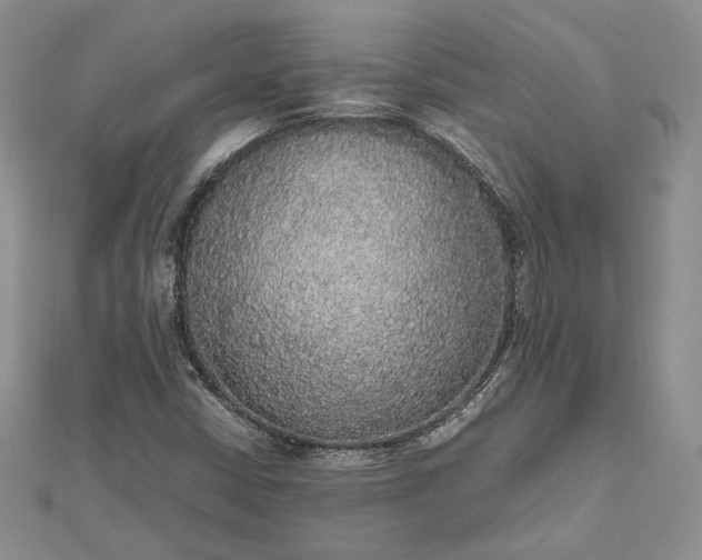 X0000112471402200908311340