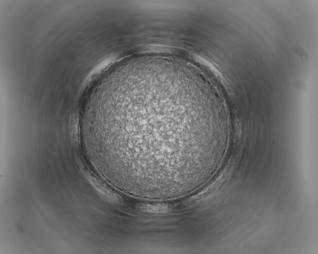 X0000112471403200908311340