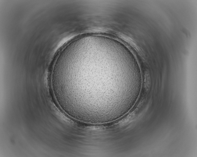 X0000112471404200908311340