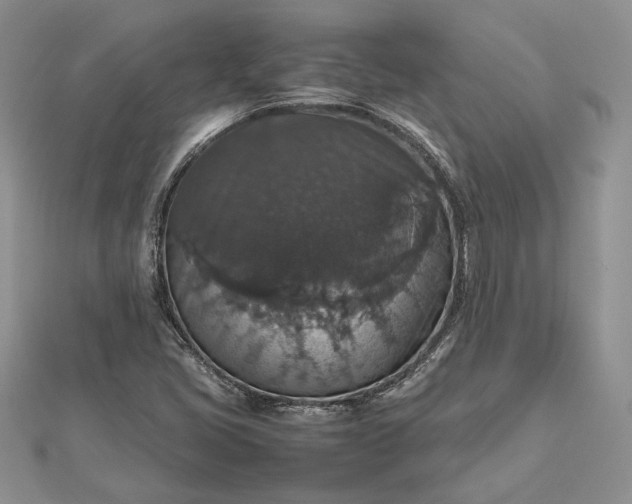 X0000112471405200908311340