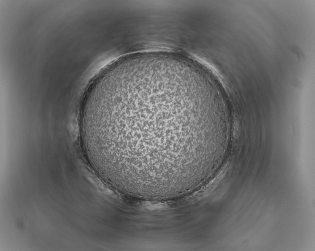 X0000112471407200908311340