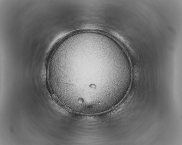 X0000112471408200908311340