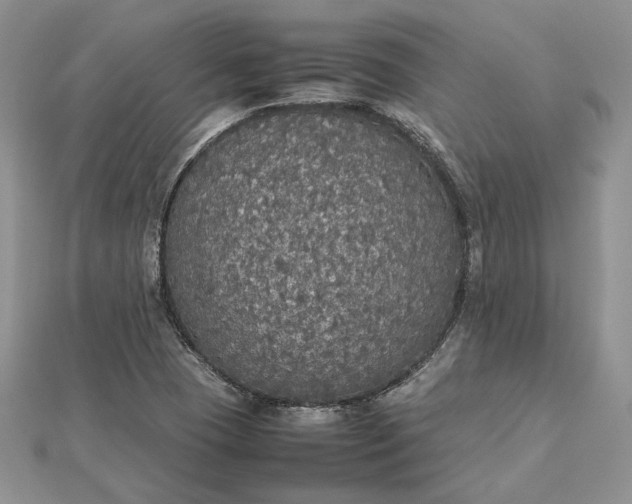 X0000112471409200908311340