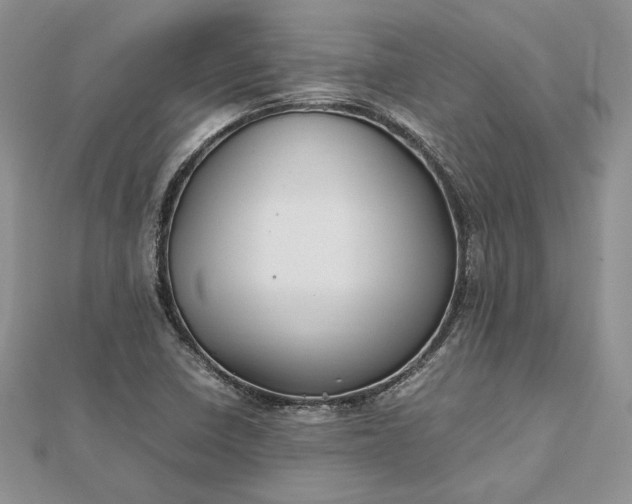 X0000112471410200908311340