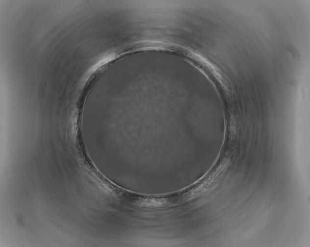 X0000112471411200908311340