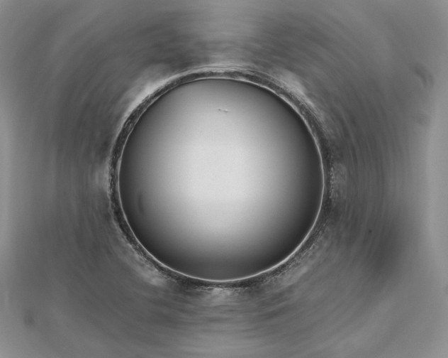 X0000112471412200908311340