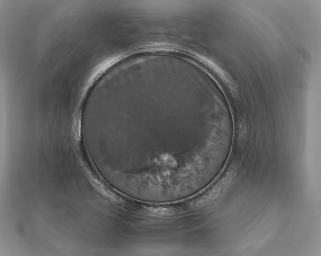 X0000112471413200908311340