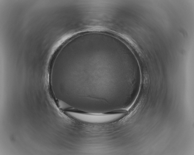 X0000112471414200908311340