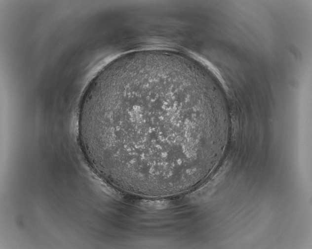 X0000112471415200908311340