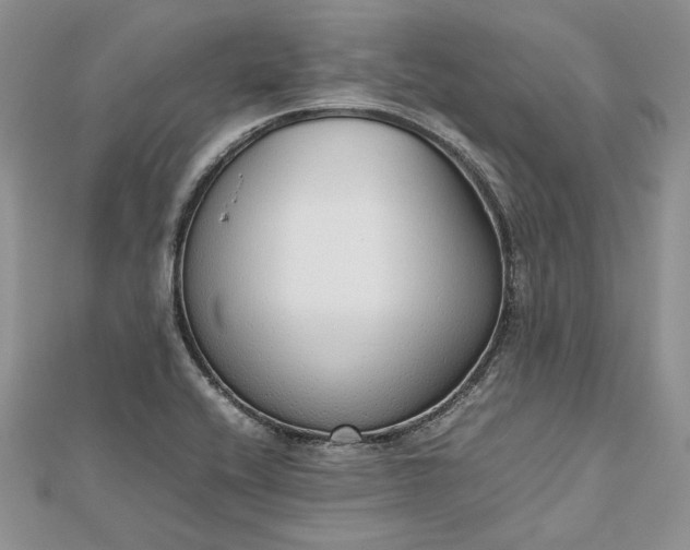 X0000112471416200908311340