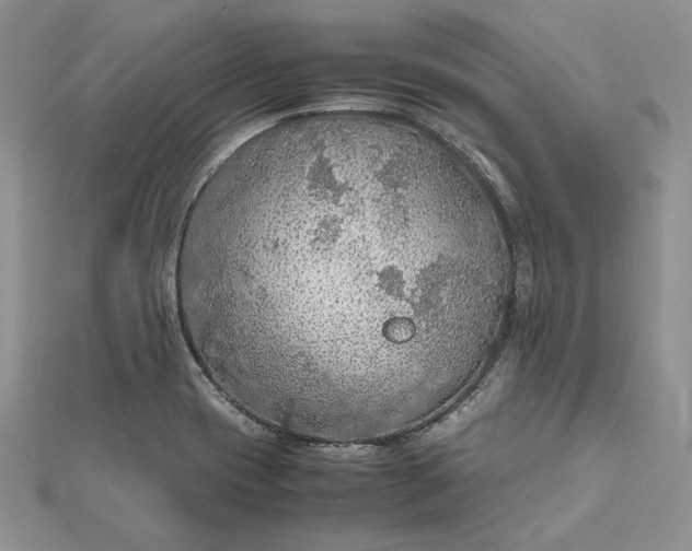 X0000112471417200908311340