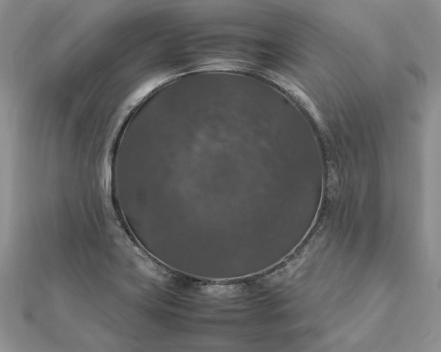 X0000112471419200908311340